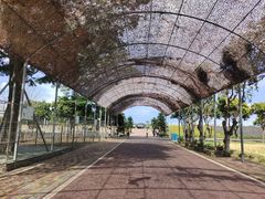 -迪茵湖田家舍生态农场