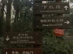 -之江大学-旧址