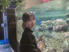 -成都浩海立方海洋公园