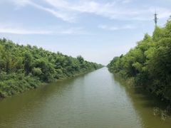 -黄海国家森林公园