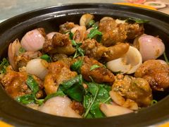 九层塔焖海蛎-莆田餐厅PUTIEN(万象天地店)