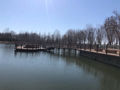 -东郊湿地公园