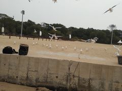 -老虎石海上公园