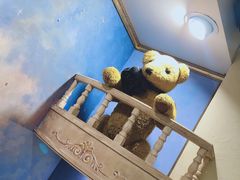 -济州岛泰迪熊博物馆