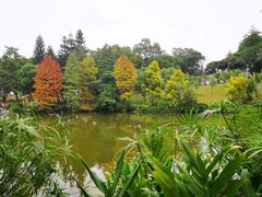 -云溪植物园