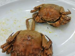 -天鲜阁·海鲜粤菜·33年老字号(石槎白云站店)