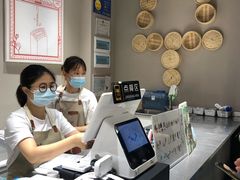 -钟薛高(南头古城店)