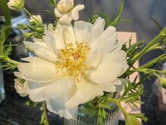 -九月里.自由花园餐厅