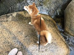 -碓臼峪自然风景区