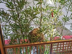 -湘阁里辣(东门茂业店)