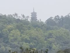 -大雁山风景区