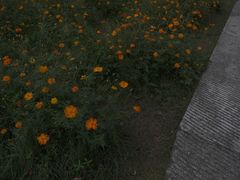 -良渚古城遗址公园