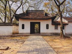 -上海佘山国家森林公园天马山园