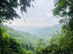 -青城山