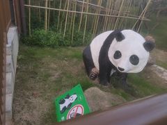-武汉动物园