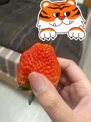 -隅日式美甲美睫專門店