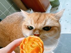 -广州白天鹅宾馆