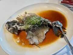 -侨美·唐荔园·40年地道粤菜