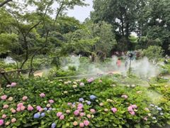 -上海共青森林公园