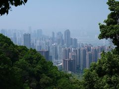 -南山植物园