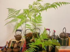 -道南書院·私房菜·早午茶·茶馆