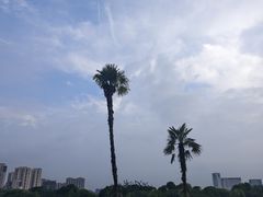 -滨湖塘西河公园