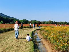-长广溪湿地公园