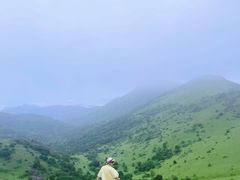 -大姆山草场