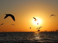 -老虎石海上公园