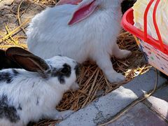 -水上乐园·欢乐世界