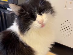 -平行世界·猫咖(首经贸店)