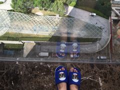 -上海外滩英迪格酒店