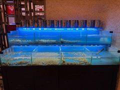 -太湖饭店玉兰厅(自助餐厅)