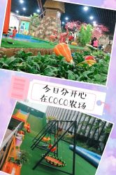 -可可天空农场(中大店)