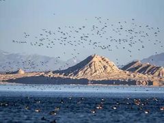 -青海湖国家重点风景名胜区