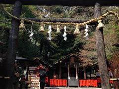 -野宫神社