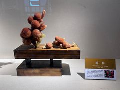 -大连自然博物馆