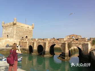 它们不属于谁，就如当地人那么生活在这个城市之中