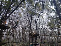 -WeLope紫金山探险公园