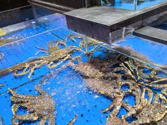 -炊江南·上海菜(国展华漕店)