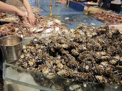 河蟹-钱库里海鲜自助(星海广场店)