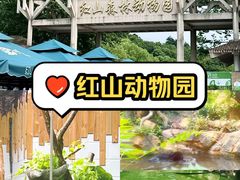 -红山森林动物园
