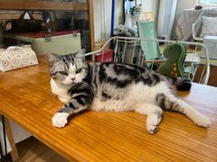 -小时光咖啡馆(开森度假森林店)