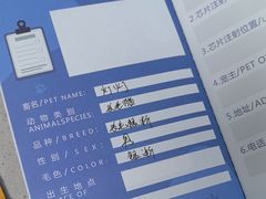 -申普宠物医院(总院)