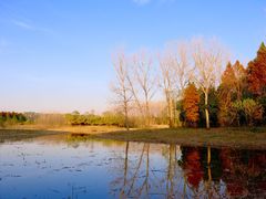 -溱湖国家湿地公园