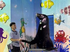 -太平洋海底世界