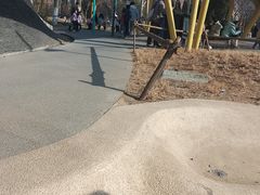 -张店儿童公园