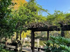 -上海醉白池公园