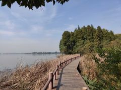 -东湖落雁景区