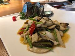 杏鲍菇小鲍鱼-浙C老邻舍(西城海错店)